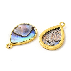 Natur Paua Muschel Anhänger&nbsp;KK-E059-08G