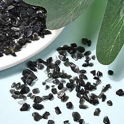 Natürlichen Obsidian Chip-Perlen&nbsp;G-L453-08