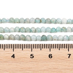 Amazonite naturale fili di perle&nbsp;G-P279-42-3mm