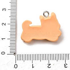Pendentifs en résine opaque&nbsp;RE-CBA5B90-04B