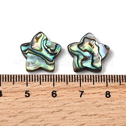 Natürliche Abalone-Muschel / Paua-Muschelperlen&nbsp;SHEL-B003-06