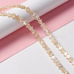 Perle trochid naturali / conchiglie trochus&nbsp;SSHEL-O001-25B-01