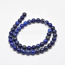 Natürliche Lapislazuli runde Perle Stränge&nbsp;X-G-E262-01-12mm