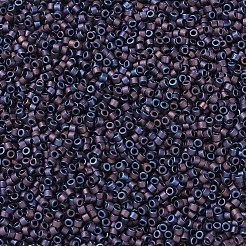 Miyuki Delica Perlen&nbsp;SEED-MY11-DB0323
