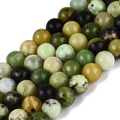 Cuentas serpentinas naturales hebras&nbsp;G-Q616-07A