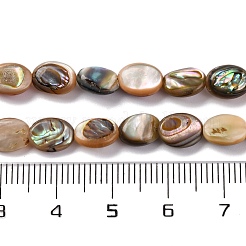Natur Paua Muschel Perlen Stränge&nbsp;BSHE-B007-06