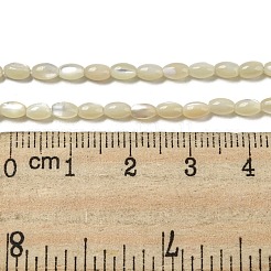 Natürliche Trochusmuschelperlenstränge&nbsp;SSHEL-H072-02B