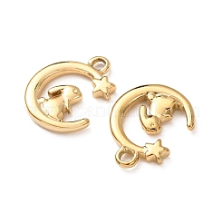 Colgantes de acero inoxidable 304&nbsp;STAS-C184-03G
