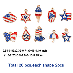 20 pièces 10 styles pendentifs en alliage émail pour le jour de l'indépendance&nbsp;ENAM-FP0001-84