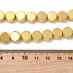 Chapelets de perles en verre électroplaqué&nbsp;EGLA-F166-04C