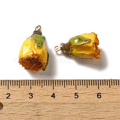 Rosone stabilizzato con pendenti in lega dorata&nbsp;FIND-M010-01C