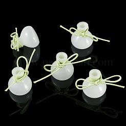 5 Stück Miniatur-Glasvasenflaschen mit Polyesterkordel&nbsp;AJEW-TAC00056