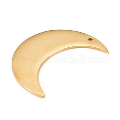 Anhänger aus Edelstahl 304&nbsp;STAS-L238-102A-G