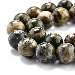 Natur Rhyolith Jaspis Perlen Stränge&nbsp;G-O199-08C