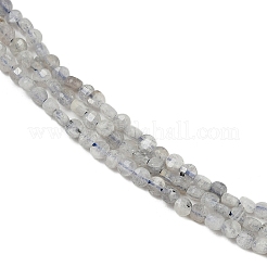 Natur Labradorit Perlen Stränge&nbsp;LS-G-RM2025-A30-2mm