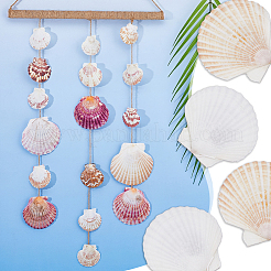 500 g de coquillages naturels&nbsp;DJEW-FH0001-35B