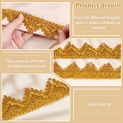 Ruban de dentelle tressée en polyester&nbsp;SENE-WH0003-35C