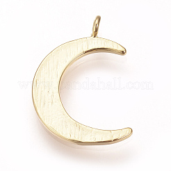 Messing Anhänger & Charms&nbsp;KK-T016-48G