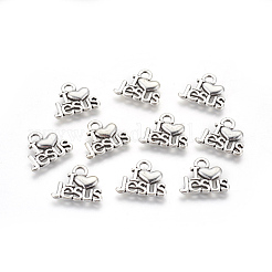 Tibetischer stil Aluminium Anhänger & Charms&nbsp;PALLOY-2390-AS-LF