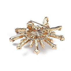 Broche de rhinestone de aleación para ropa de mochila&nbsp;JEWB-P046-05A-G