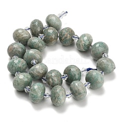 Natur Amazonit Perlen Stränge&nbsp;G-L642-I09-18x13mm