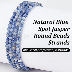 2 Strang natürlicher blauer Jaspis mit runden Perlen&nbsp;G-OC0005-71
