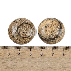Natur Bildjaspisses cabochons&nbsp;G-H1596-FR-25mm-17