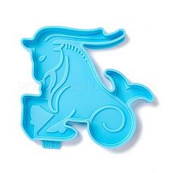 Moules de tapis de tasse de silicone de constellation&nbsp;DIY-M039-11D