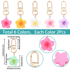 12 colgante de resina de 6 colores.&nbsp;HJEW-SC0002-81