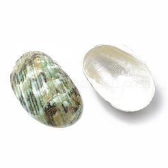 Spiralmuschelperlen&nbsp;LS-SSHEL-S258-09