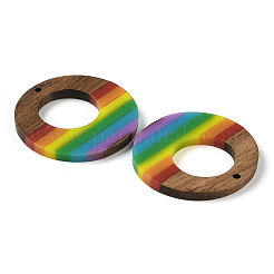 Colgantes de resina y madera de nogal con tema de arcoíris del orgullo&nbsp;WOOD-K012-04