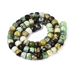 Natur Serpentin Perlen Stränge&nbsp;G-Q616-02A-09