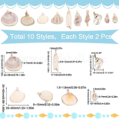 20 pieza de 10 estilos de colgantes de concha mixta natural galvanizada&nbsp;SHEL-SC0001-27