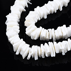 Cuentas de concha naturales blancos mechones&nbsp;X-SSHEL-S266-029