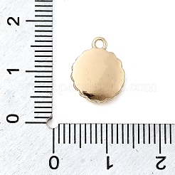 Messing Anhänger & Charms&nbsp;LS-KK-P337-02C-G