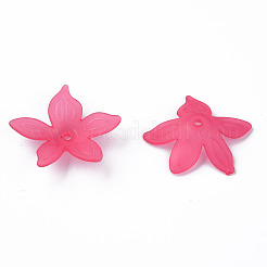 Perles en acrylique transparente&nbsp;X-MACR-S373-127-D