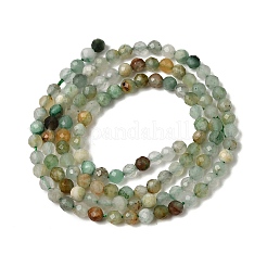 Chapelets de perles en jade africaine naturelle&nbsp;G-L653-B04-3mm-01