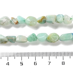 Natürliche Chrysokolla und Lapislazuli Perlen&nbsp;G-P497-01C-23