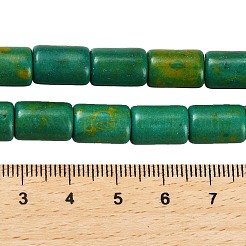 Kunsttürkisfarbenen Perlen Stränge&nbsp;G-C101-P01-01