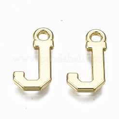 Pendentif en alliage &nbsp;LS-PALLOY-Q441-025J-NR