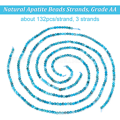 3 Strang natürliche Apatitperlenstränge&nbsp;G-OC0004-69