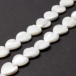 Natürliche Trochidschale / Trochusschalenperlen&nbsp;SSHEL-O001-27D