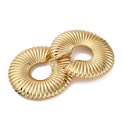 Orecchini a cerchio con anello di ferro e perno in acciaio inossidabile 304 per donna&nbsp;EJEW-U028-07G-01