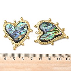 Natur Paua Muschel Anhänger&nbsp;STAS-G397-14G-02