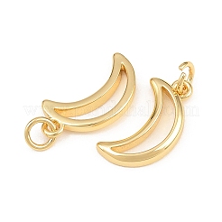 Messing Anhänger & Charms&nbsp;KK-L275-65G-01