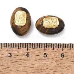 Ovale Naturperlen aus Tigerauge&nbsp;GG-D002-08G