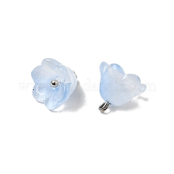 Glas Anhänger / charms&nbsp;GLAA-G127-03A