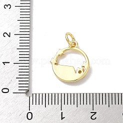 Ottone micro spianare fascino zirconi&nbsp;KK-A273-16G