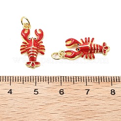 Pendentifs d'émail en laiton &nbsp;X-KK-L237-027G-02