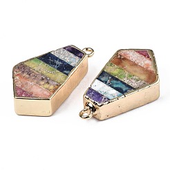 Regenbogenfarbene natürliche imperiale Jaspis-Anhänger&nbsp;G-S359-329